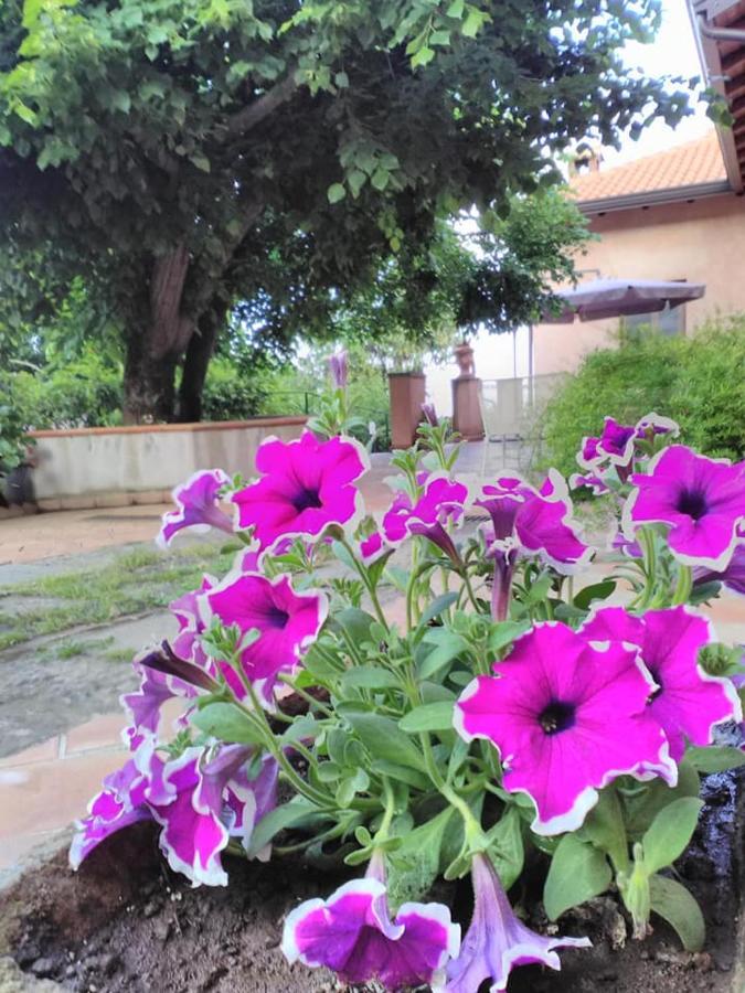 La Corte Di Bafe B&B "Slow Life" ซัฟเฟรานา เอตเนอา ภายนอก รูปภาพ